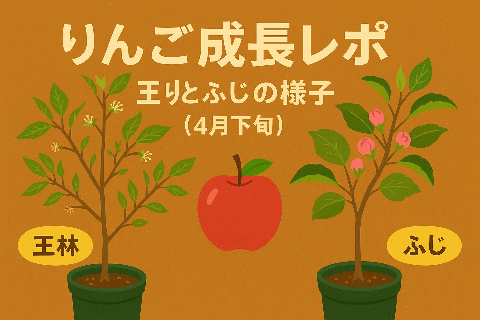 りんご成長レポ