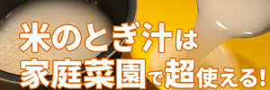 米のとぎ汁