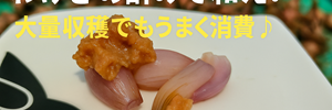 分葱酢みそ