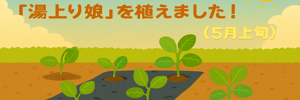 えだまめレポ