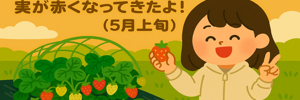 いちごれぽ
