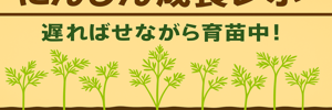 にんじんレポ