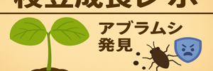 えだまめレポ