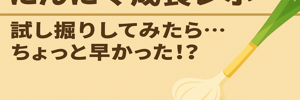 にんにくレポ