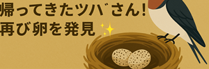 つばめ
