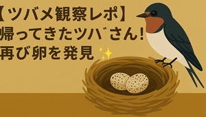 つばめ